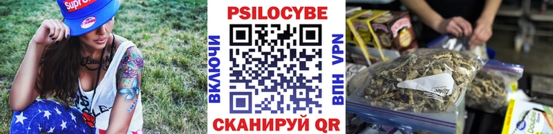 Псилоцибиновые грибы Magic Shrooms  наркота  Новотитаровская 